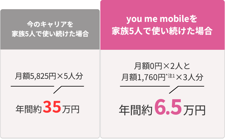 今のキャリアを家族5人で使い続けた場合,月額5,825円×5人分→年間約35万円